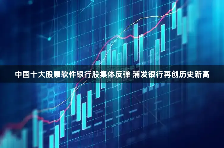 中国十大股票软件银行股集体反弹 浦发银行再创历史新高